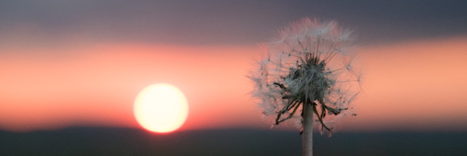 _scoxy's profile banner image