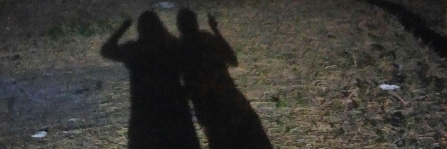 aciranna's profile banner image