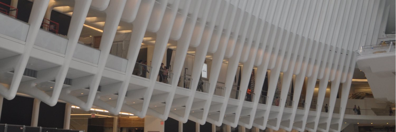 Reinaldo ＳＩＬＶＡ banner