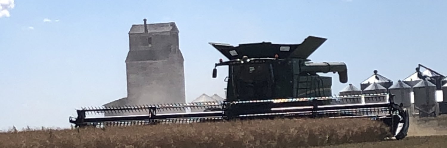 Steven Connor banner