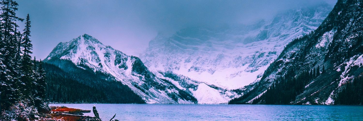 dlswhit's profile banner image