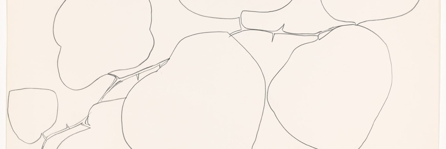 magzkan's profile banner image