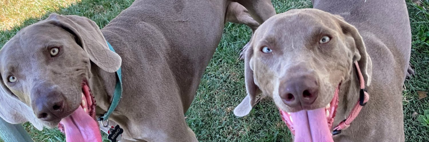 Rachel Gordon banner