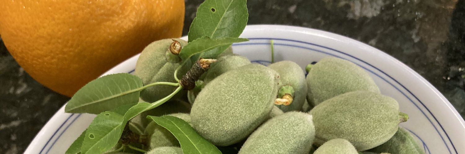 Monadel H. Ed.D مناضل حرزالله banner