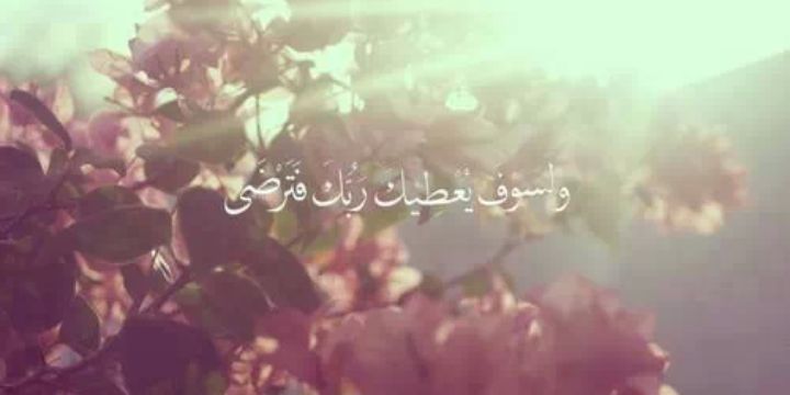 محمد الصالح banner