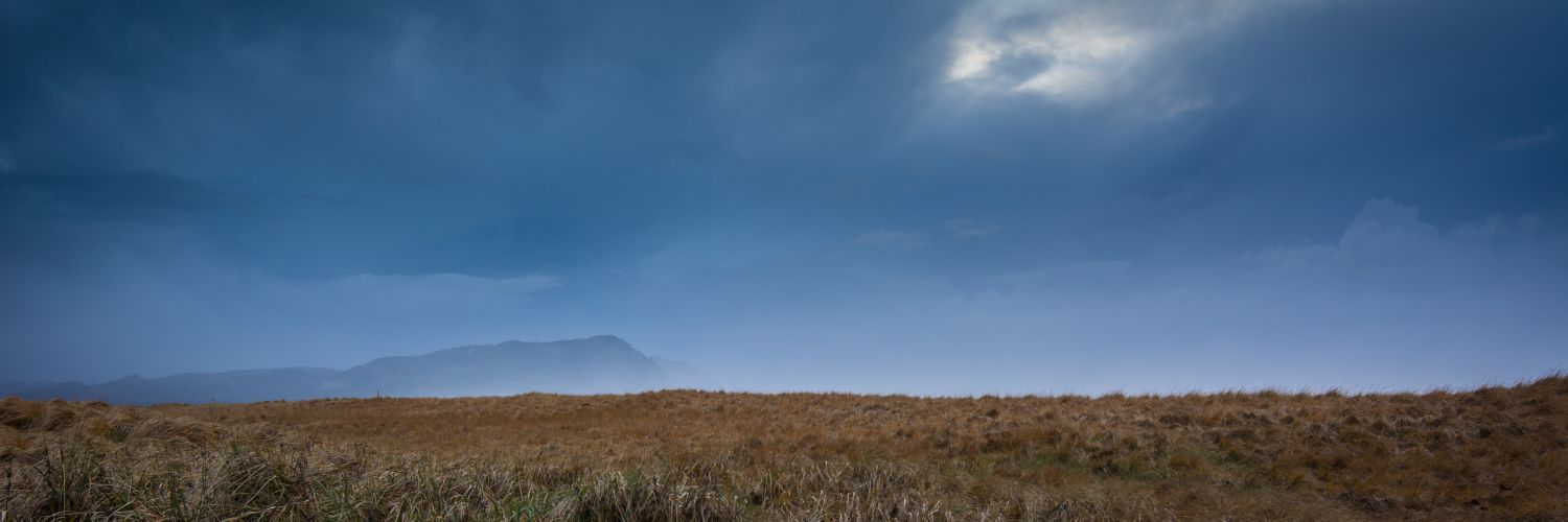 Redwinged78's profile banner image