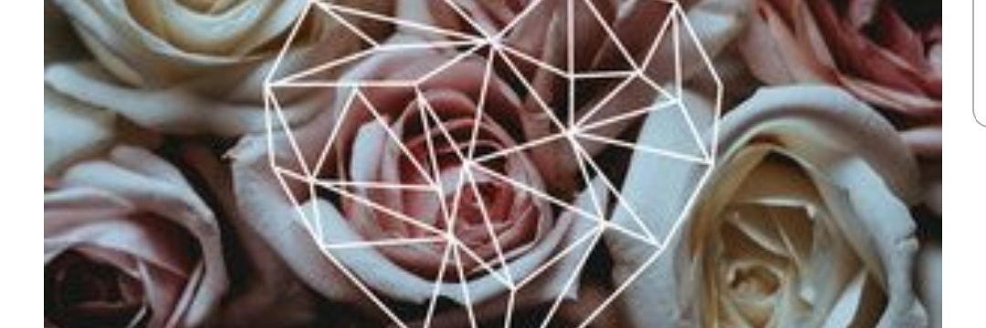 mlycardenas's profile banner image