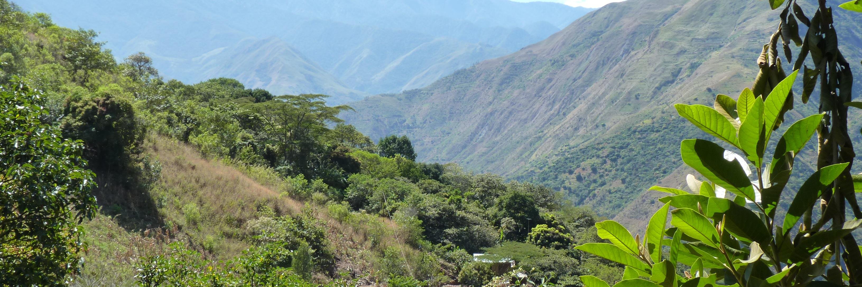 estedesco's profile banner image