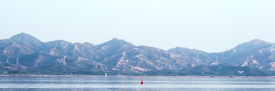 Insutanto banner