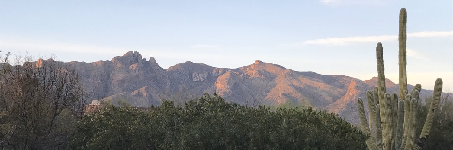 sallengale's profile banner image
