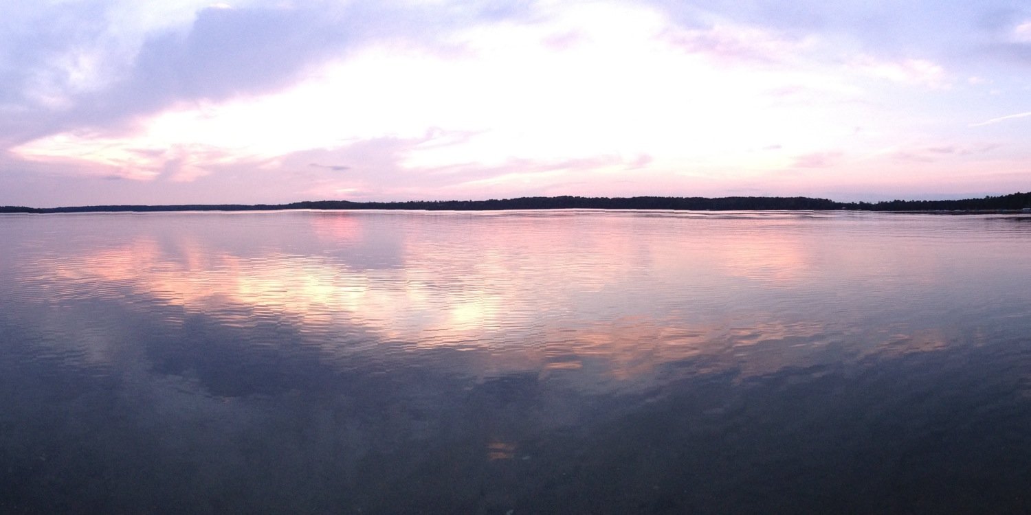 TaylorDahl2's profile banner image