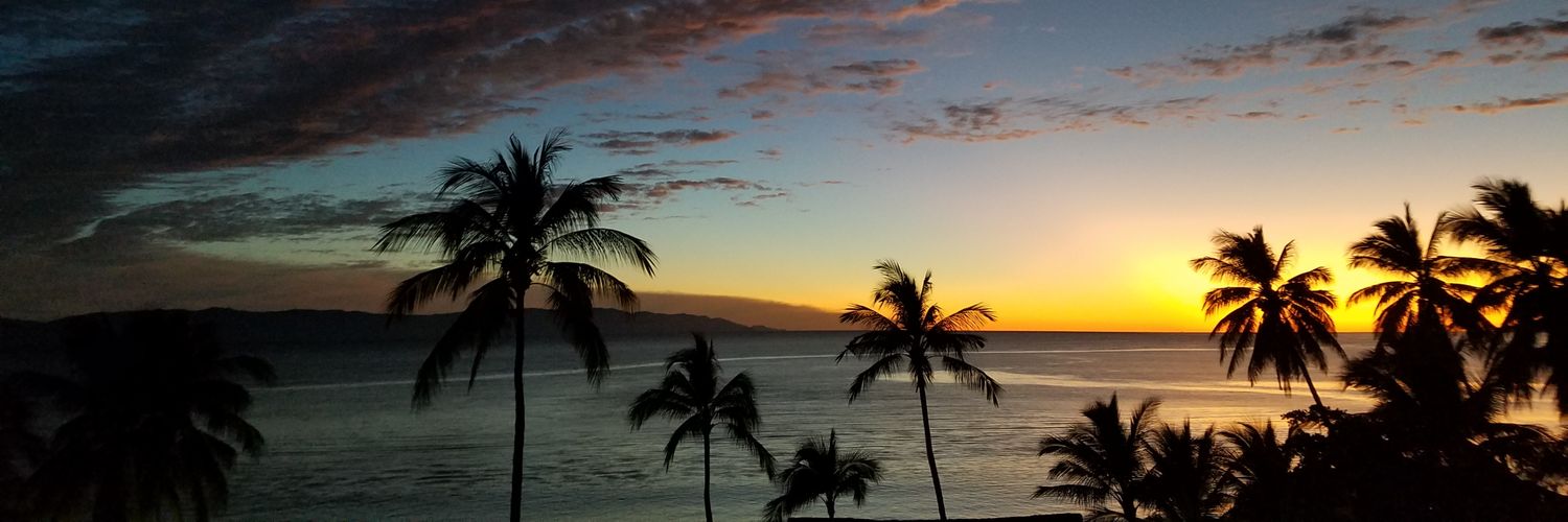 Bioman (HealthyTrader) banner