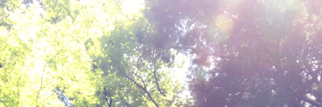 hamihamihamiru's profile banner image