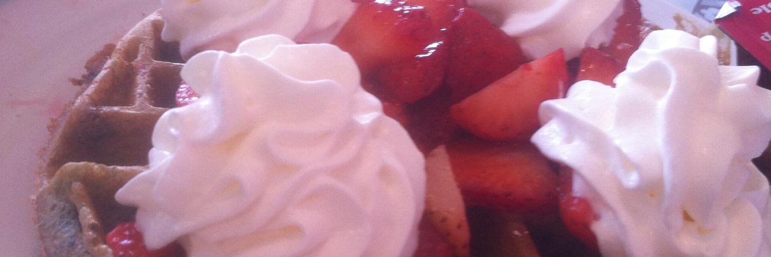 MacleanKristy's profile banner image