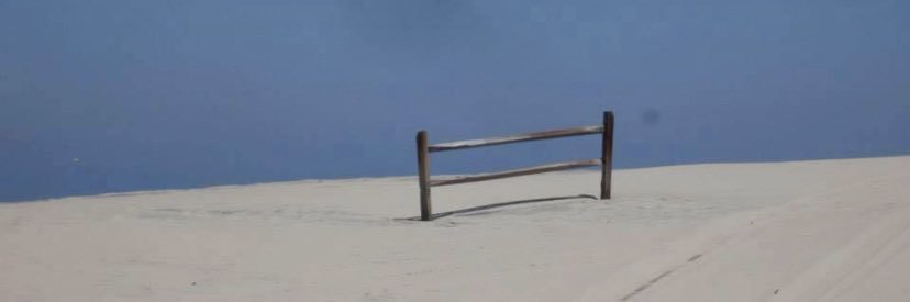 danielpcoleman's profile banner image