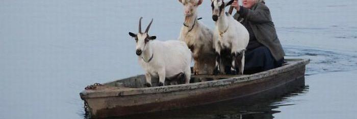 oilybeef's profile banner image