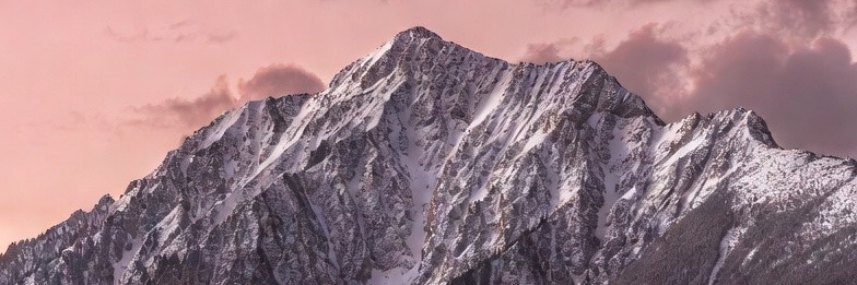 OregonElegance's profile banner image