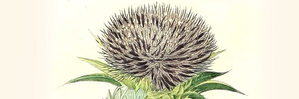 hmahdavi Profile Banner