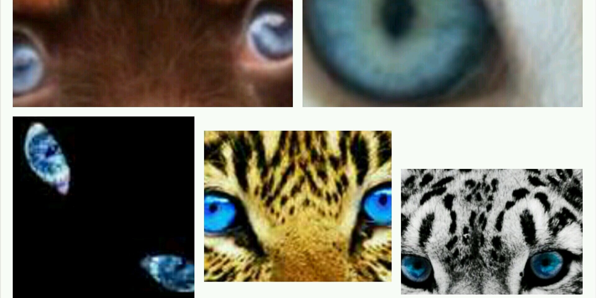 VINyard_USnX's profile banner image