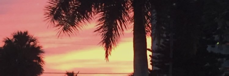 paigewilhelm's profile banner image