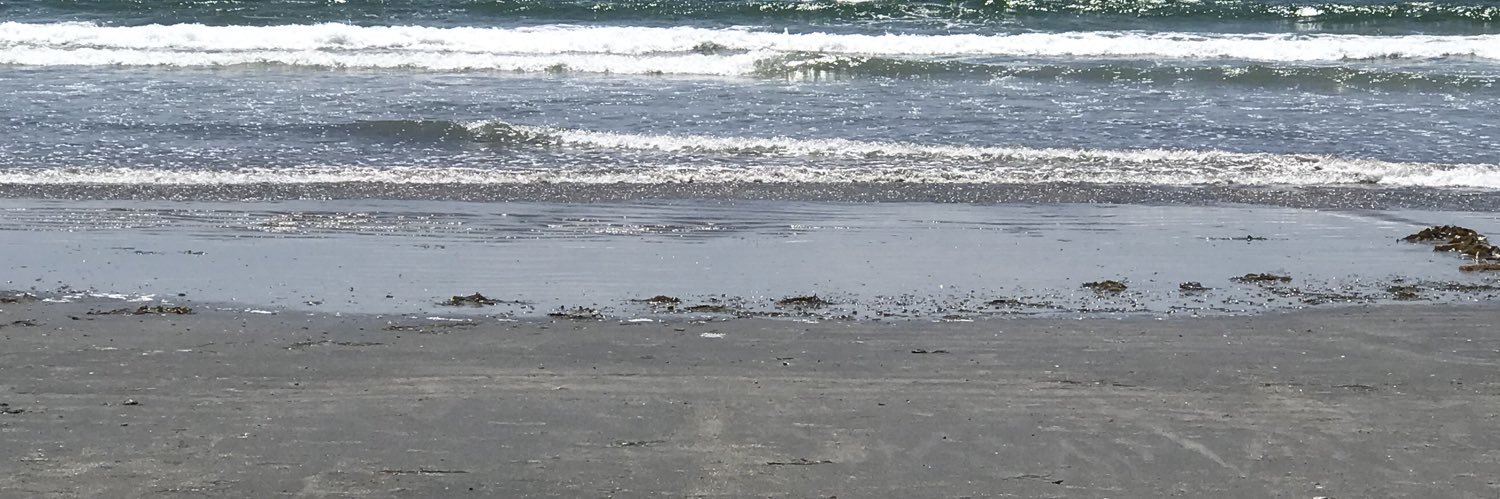 Rhonda P. Carter banner