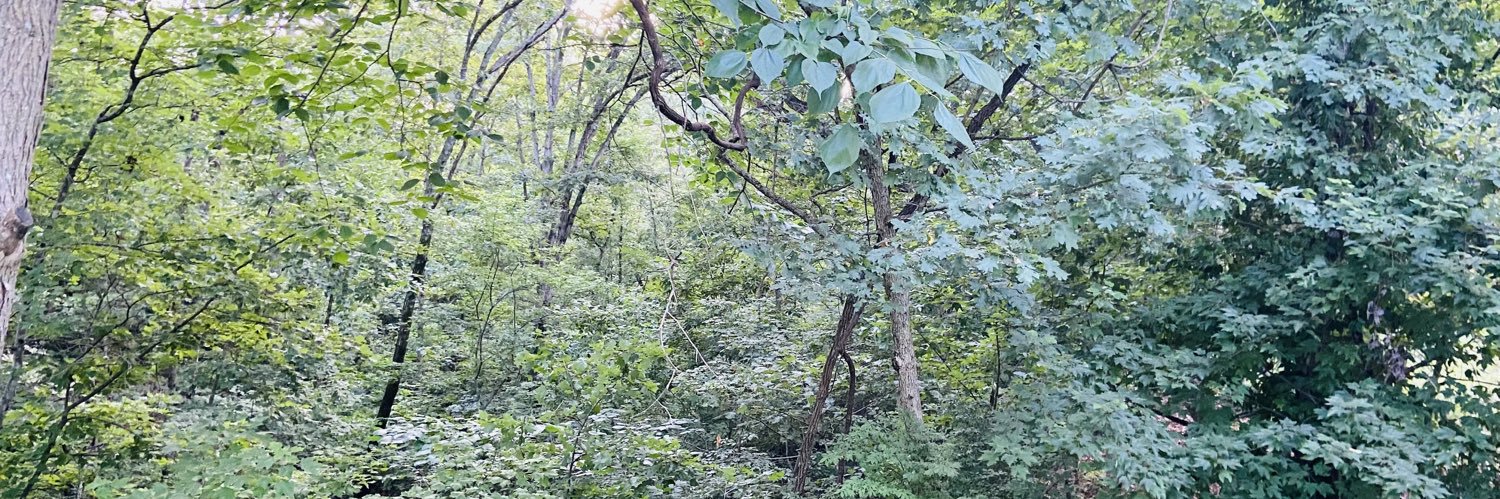 Chip Greenwell banner