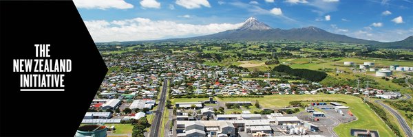 nzinitiative Profile Banner