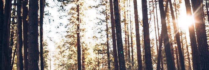 kjkelz's profile banner image