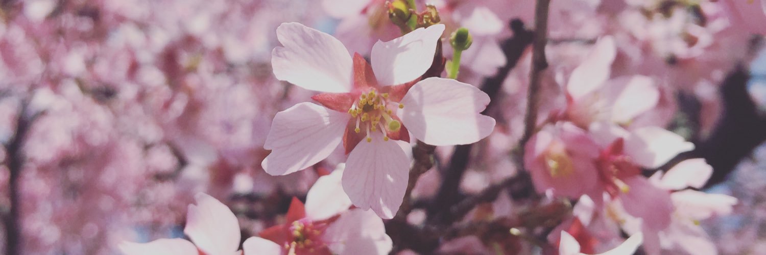 or_ang_ee's profile banner image