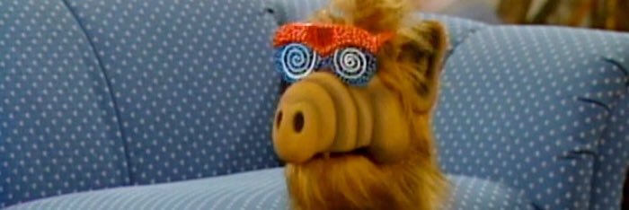 gnarolax's profile banner image