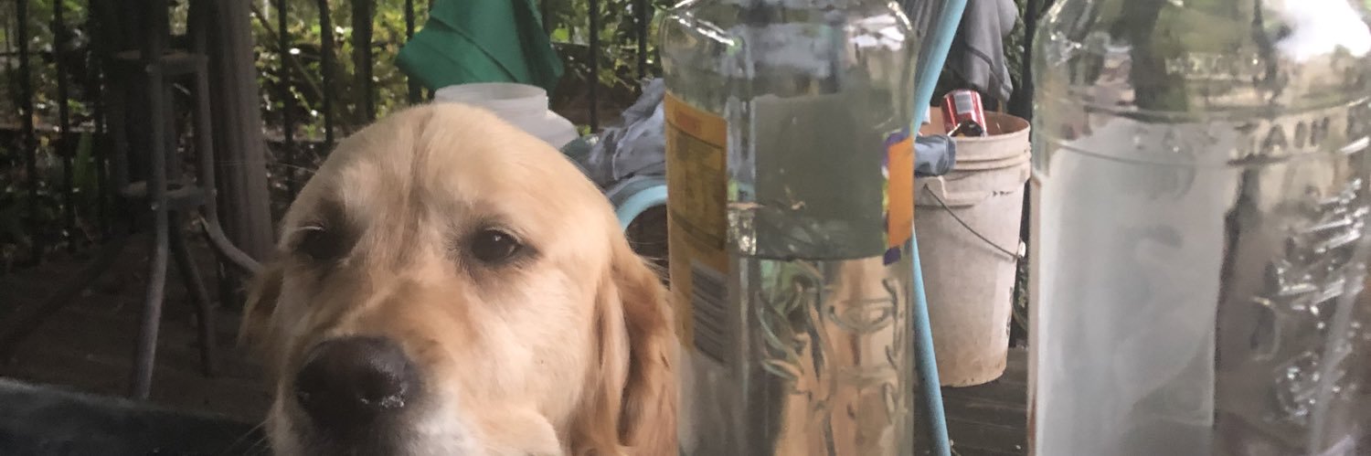 Im a blind trust.. banner