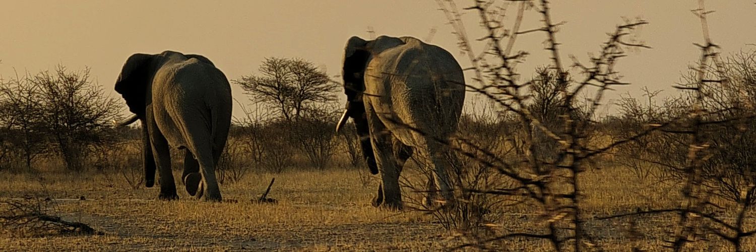 moses_umba's profile banner image