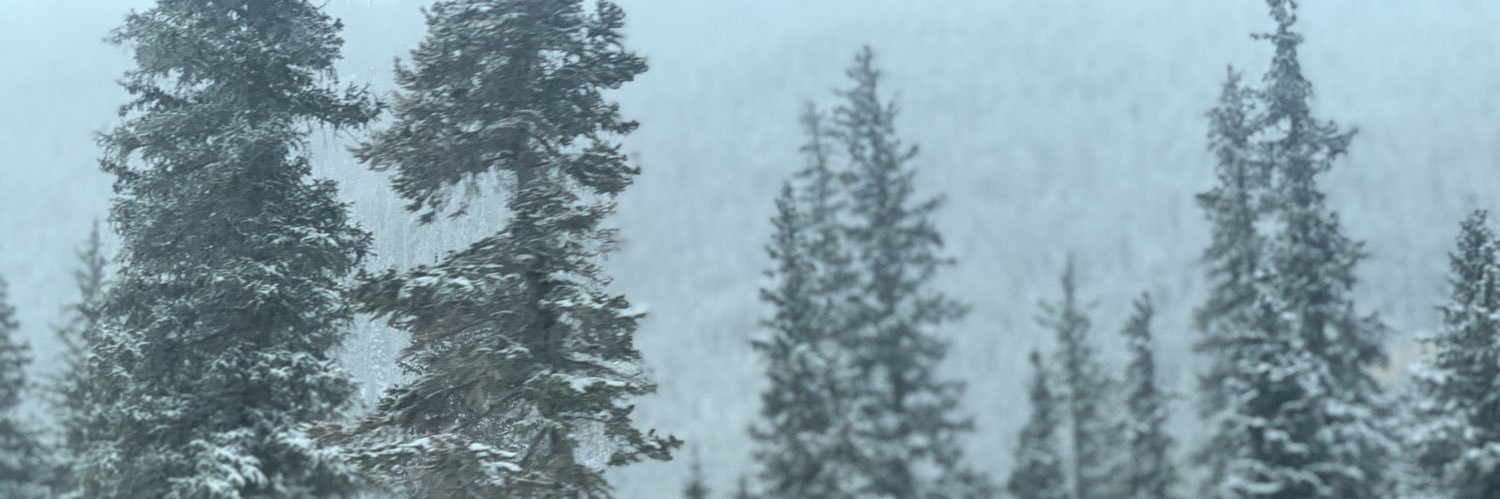 adlta11's profile banner image