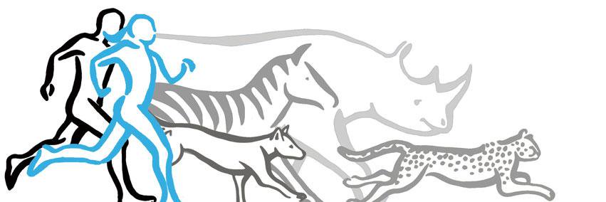 DubboStampede's profile banner image