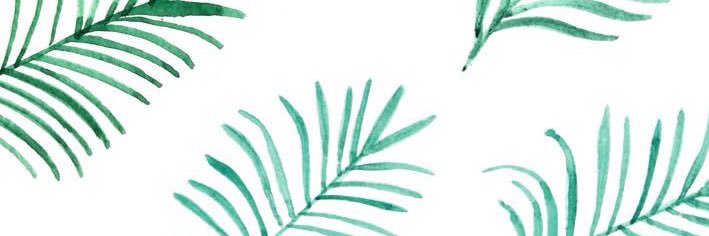 reiley_mclane's profile banner image