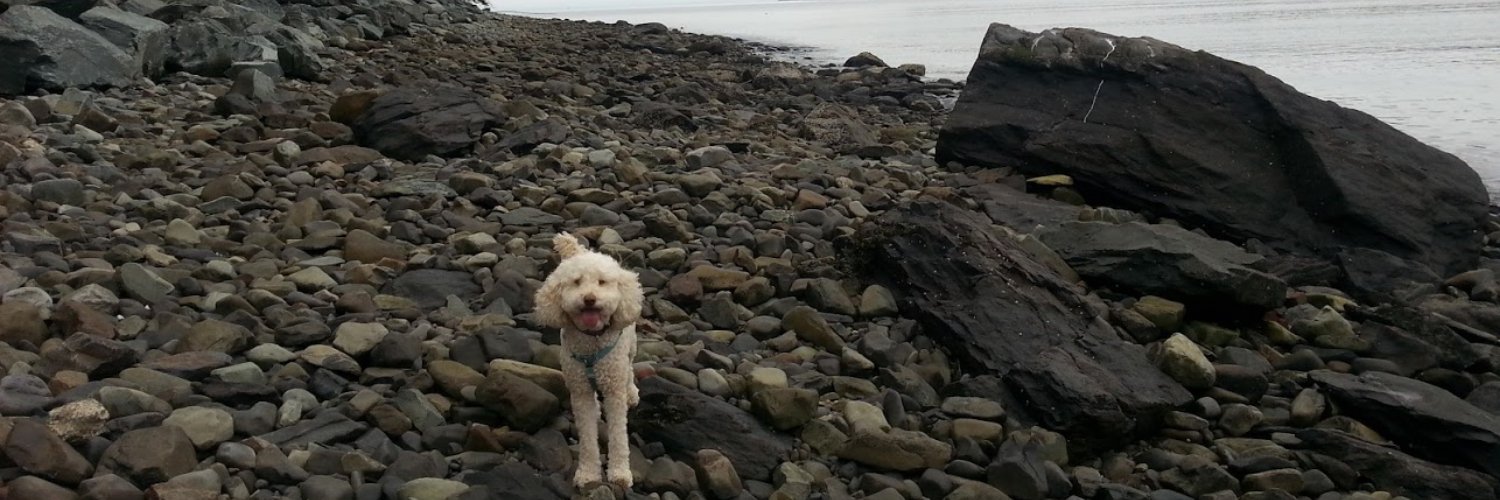 Adam Boyd (boydmath.bsky) banner