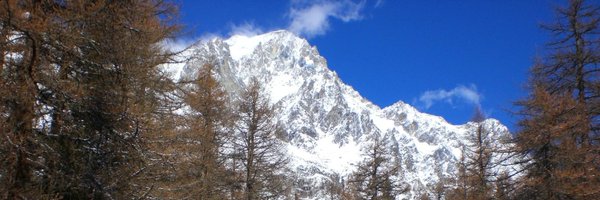 Elfoard Profile Banner