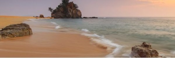 marioteguh Profile Banner