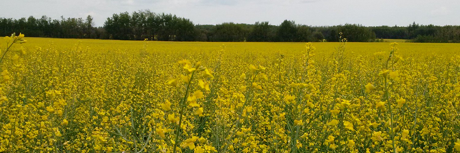 Jennifer Otani banner