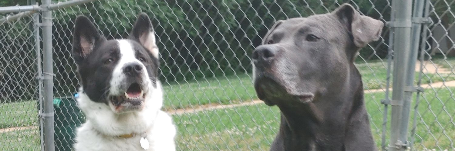 TimWinters79's profile banner image