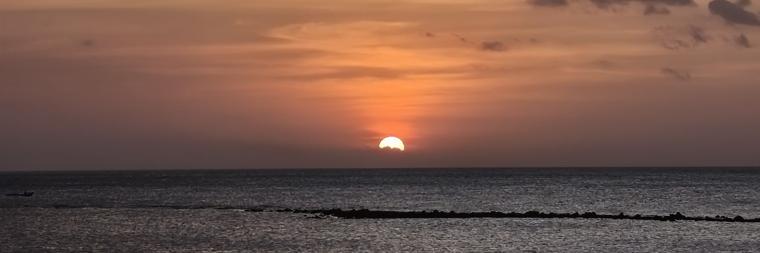 HeldaAudia's profile banner image