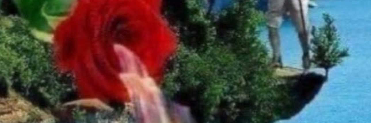 zeynep0049's profile banner image