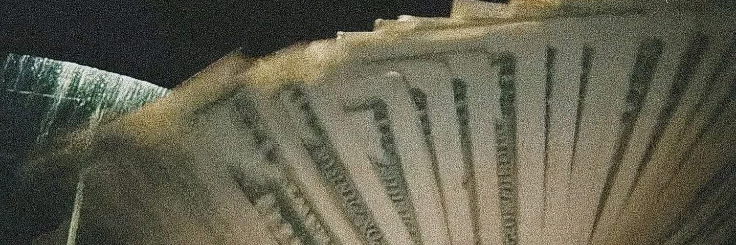 M I M I 🫧 banner