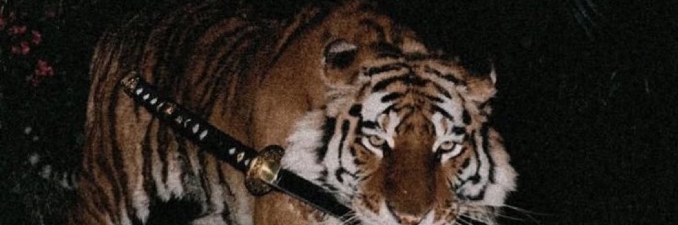 noterroribe's profile banner image