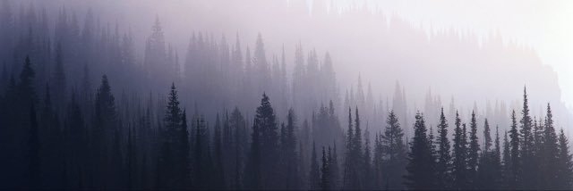 MrAlesso's profile banner image