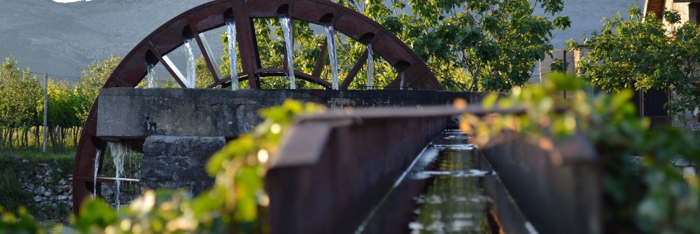 eTrebinje's profile banner image