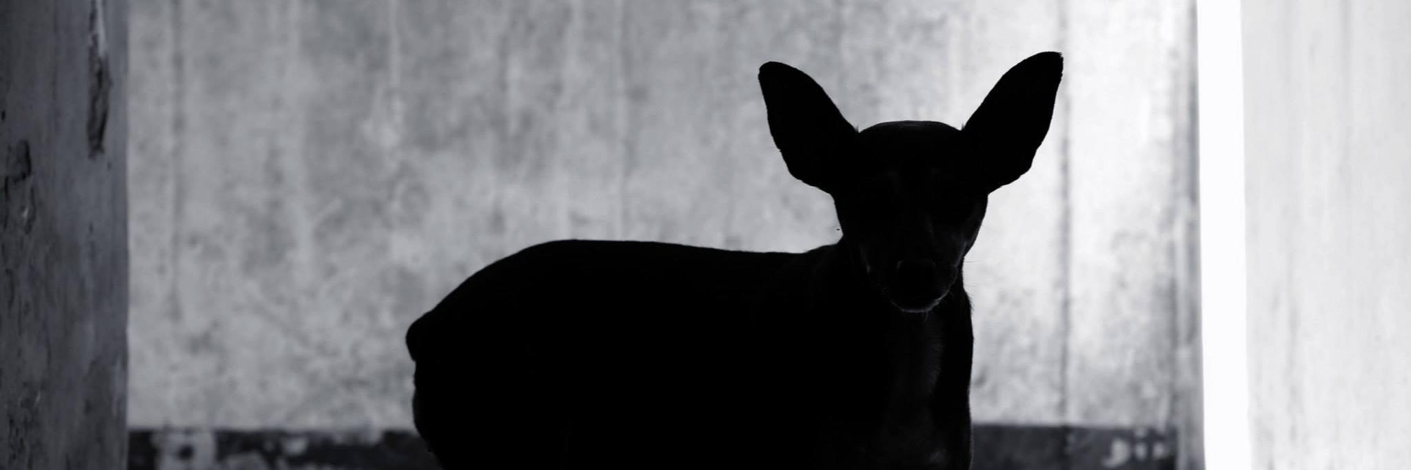 jositux's profile banner image