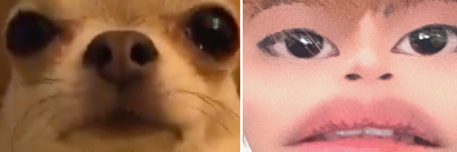 FranzPerfect's profile banner image