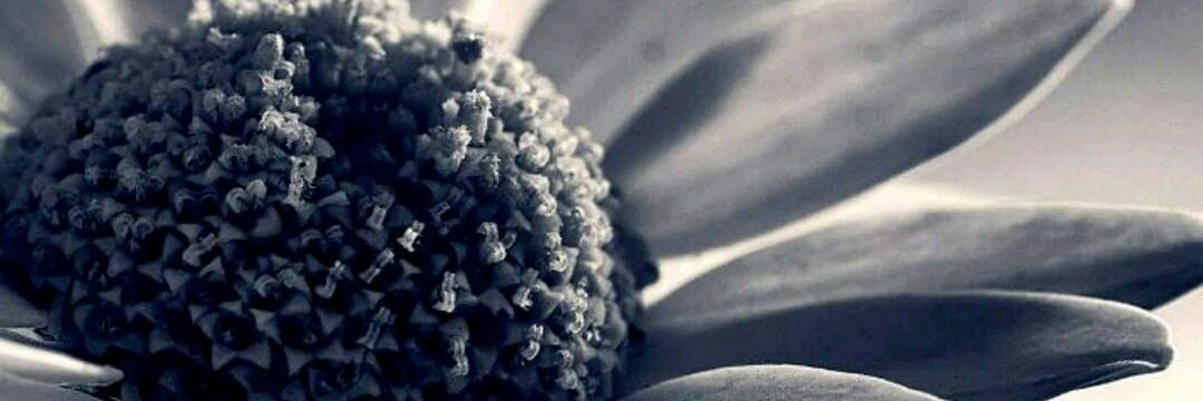 aYuaRy2's profile banner image