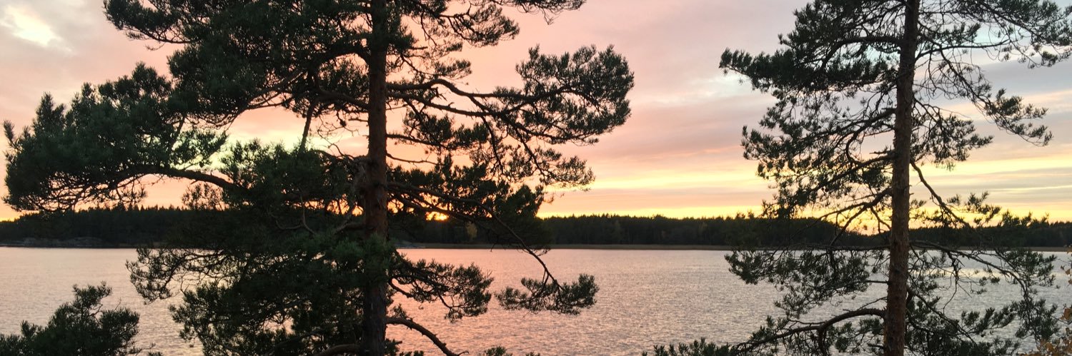terosalovuo's profile banner image